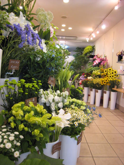 飯田橋駅でおすすめのお花屋さんまとめ 観葉植物からフラワーアレンジメントまで Pathee パシー
